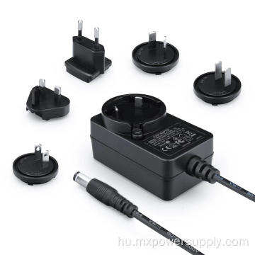 24V1A cserélhető dugók AC DC POWER adapter